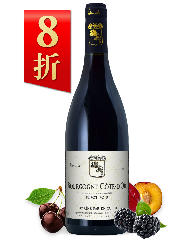 法比安科旭 金丘黑皮諾紅酒 Fabien Coche Bourgogne Côte DOr Pinot Noir 2018